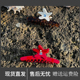 塔皮星 新款 tagi 亚克力钻石镶嵌无痕抓夹可爱鲨鱼夹女士发抓
