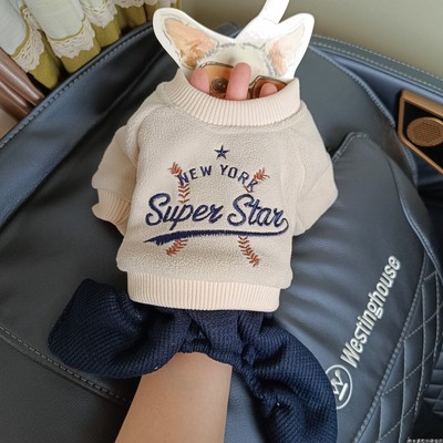 明星秋冬帅气四脚裤子泡米酱比熊