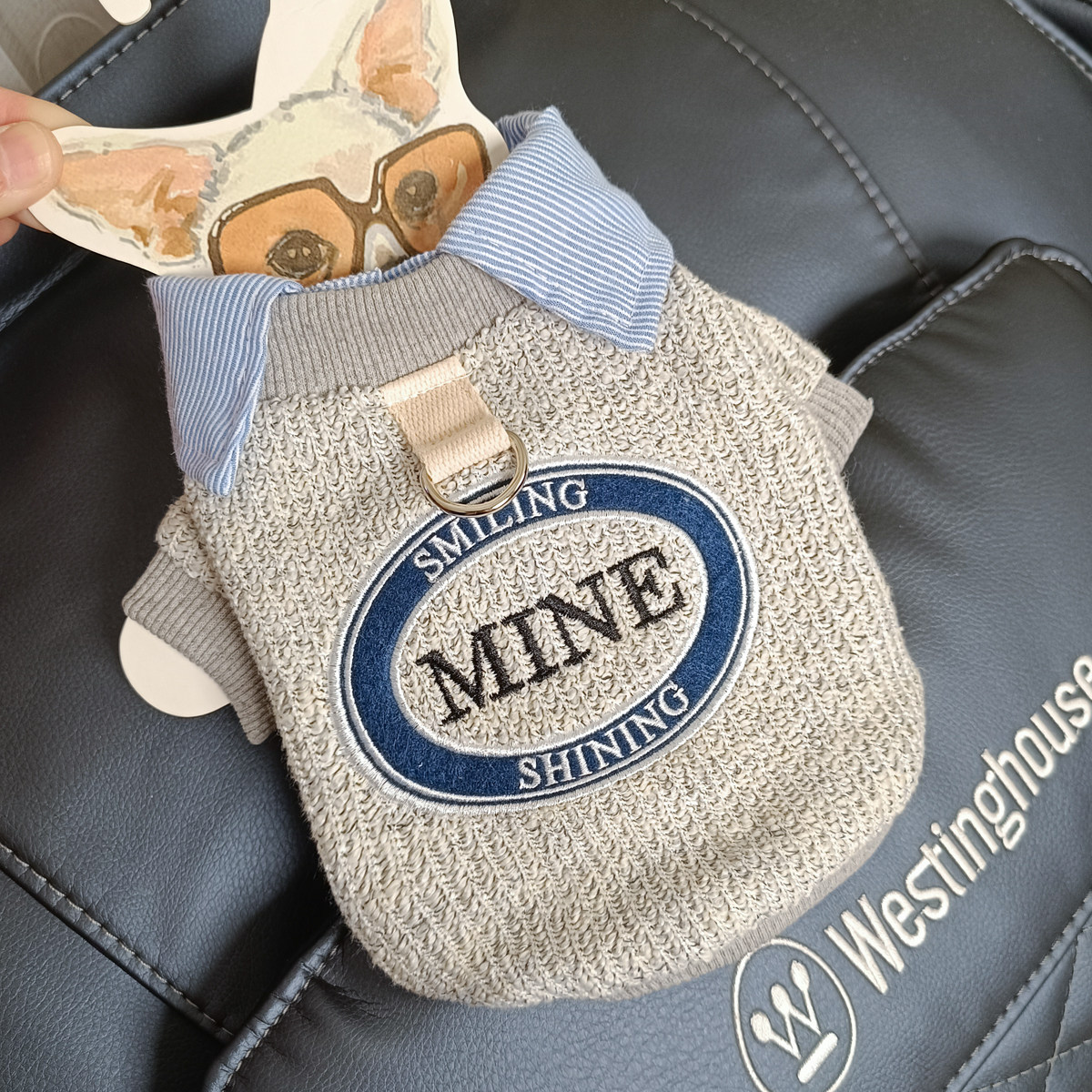 泡米酱刺绣假两件宠物衣服狗狗泰迪比熊猫咪春日套头帅气牵引卫衣