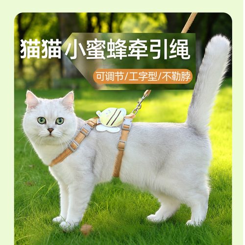 猫咪泰迪可爱背心式牵引遛猫狗绳