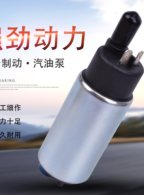 适用晓星GV250 GT250 GT650R GV650电喷汽油泵芯燃油泵芯电机配件