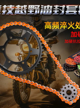 适用凯旋Street Triple 660 765R大小齿链轮套链前后牙盘油封链条