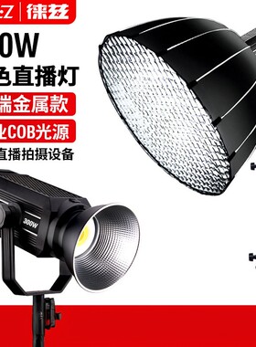 LATZZ300W直播补光球形灯