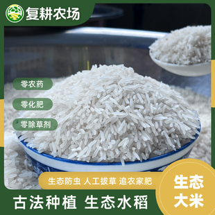 复耕农场 生态大米25年晚稻新米生态0农残 顺丰快递(非偏远)