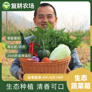 复耕农场 生态蔬菜箱份额应季新鲜0农残现摘现发顺丰包邮(非偏远)