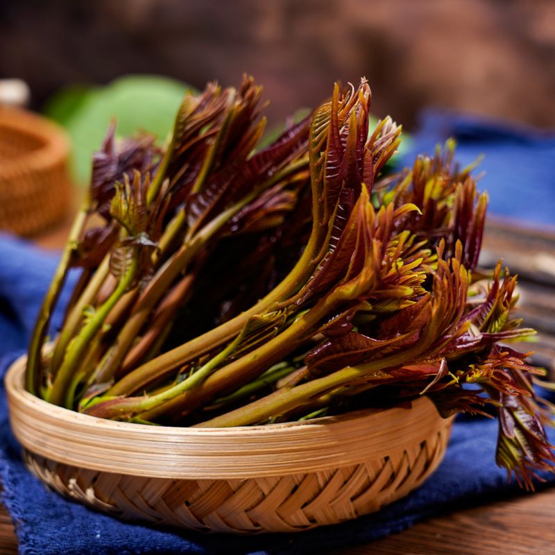 黑山口香椿，香椿芽，怀来特产，新鲜现货包邮