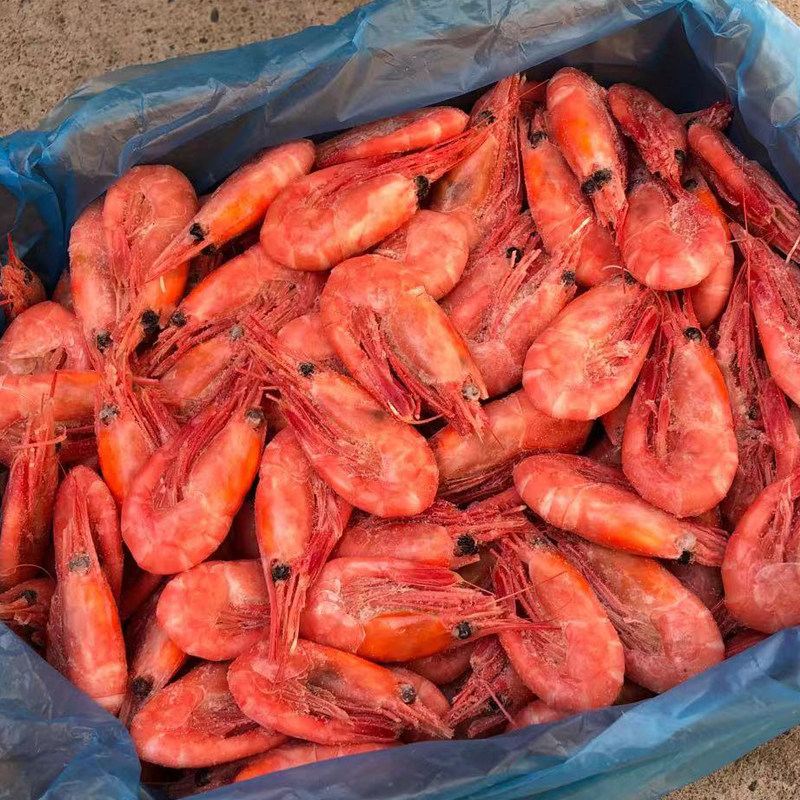 北极熊北极甜虾头籽红头膏进口熟冻即食特大号白熊冰虾海虾元宝虾