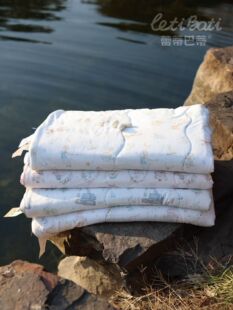 蕾蒂巴蒂2026新款A类桑蚕丝锦纶面料春秋被儿童被幼儿园被子