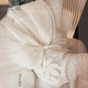 华·道夫·婚纱 马尔济斯礼服比熊小体狗布偶猫咪公主裙子春秋装