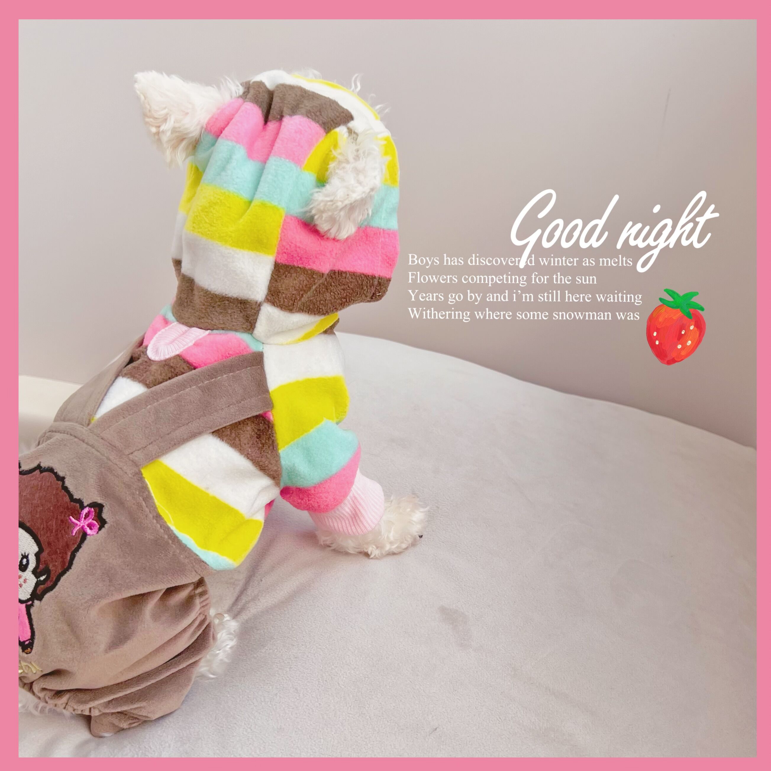 断码清仓「洋娃娃」宠物衣服狗狗服装泰迪比熊秋冬可爱四脚衣背带