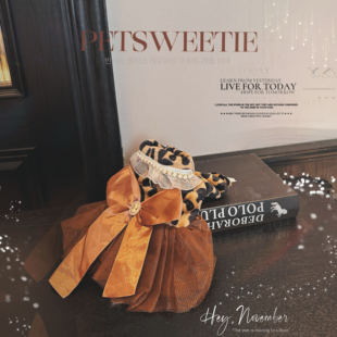 中古宫殿 马尔济斯豹纹珍珠连衣纱裙狗秋冬加绒装猫咪公主带牵引