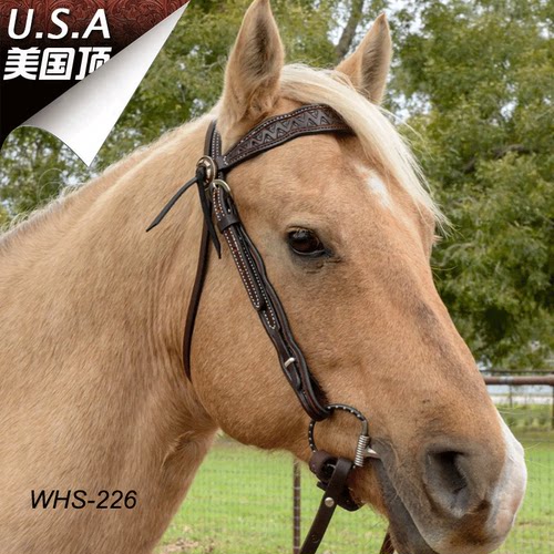 美国进口CY西部马鞍水勒西式马勒简约水勒笼头