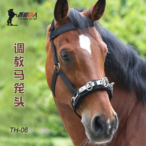 包邮用品调教马笼头西部巨人
