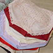 外贸日韩中低腰蕾丝刺绣三角裤 30瑕疵处理 多样女内裤 包邮