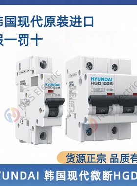 HYUNDAI 韩国现代HYUNDAI韩国现代微断 HGD63