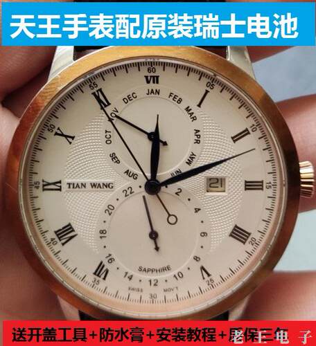 适用于天王TIAN WANG手表电池GS3528 GS3528S瑞 GS3889士纽扣电子