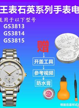 适用TIANWANG天王表电池男款手表GS3813 GS3814 GS3815进口电子