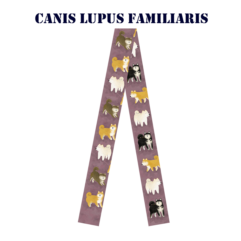 百搭造型长发带绑包编发绕耳机