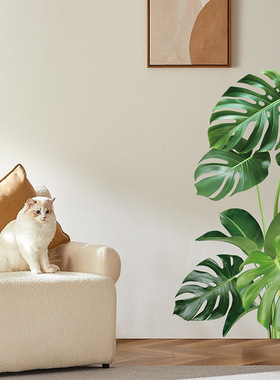 创意CH69124 龟背竹清新绿植贴画客厅走廊玄关房间门装饰自粘贴纸