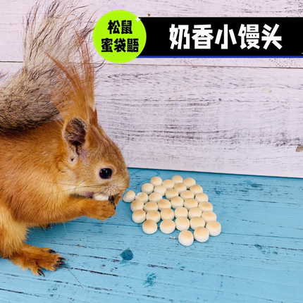 松鼠零食蜜袋鼯非迷刺猬仓鼠狗零食小馒头除臭零食营养钙奶香饼干