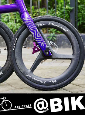 潘塔尼JAVA NEO专用16/20寸桶轴碟刹碳纤维三刀轮组前74后142开档