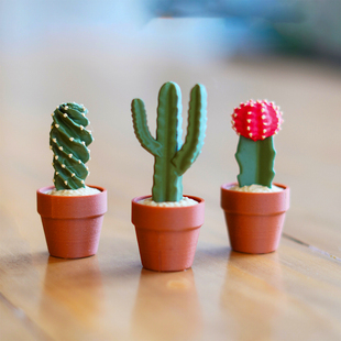 迷你点按仙人掌第二季/按按乐/机械键盘轴体/解压仿真植物-3D打印