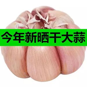 农家特产蒜头低价干蒜10斤新鲜干大蒜头白紫皮大蒜腊八蒜自制绿蒜