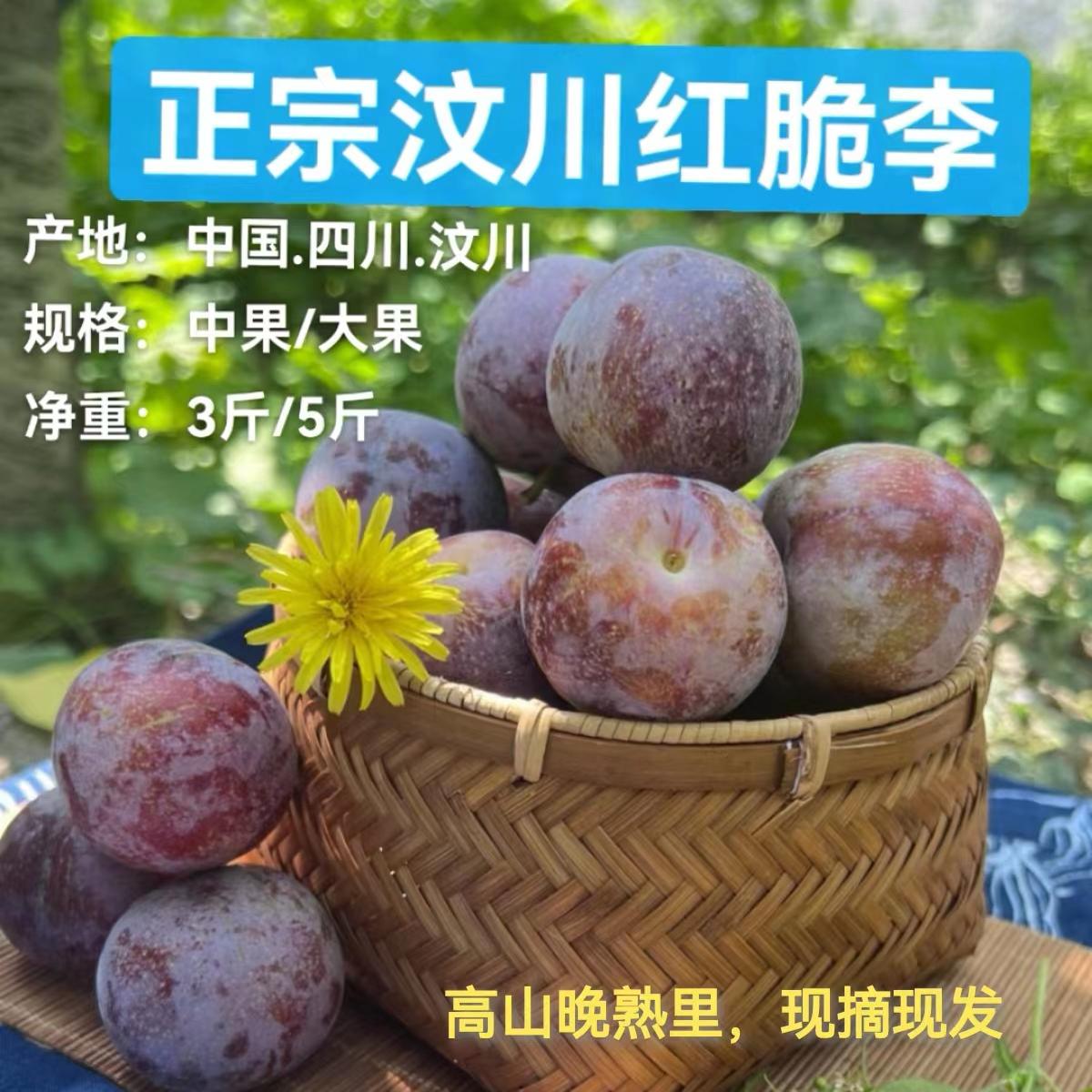 阿坝州汶川高山脱骨脆红李24新果