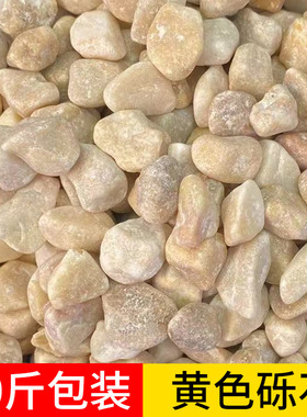 黄色石子砾石石头水磨石石子水洗石胶粘石枯山水石子小沙造景米石
