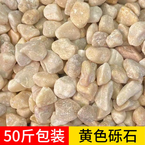 黄色石子砾石卵石米黄色水洗石