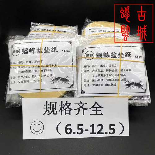 蟋蟀盆垫纸蛐蛐宁阳蟋蟀