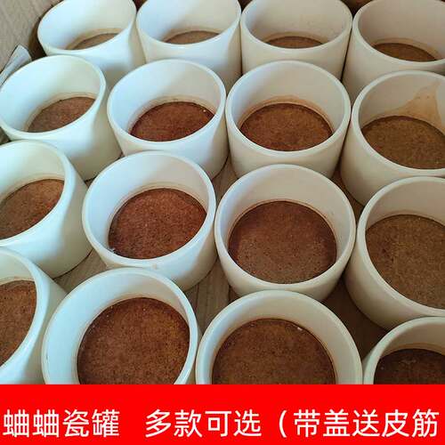 泗店陶瓷蟋蟀罐蛐蛐油葫芦养盆