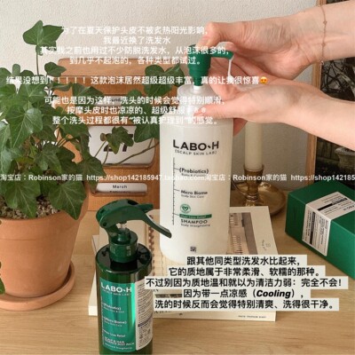 韩国LABO-H控油去屑蓬松洗发水