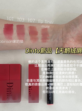 【自带氛围】韩国dinto新品蝴蝶系列天鹅绒红管哑光唇釉自然轻薄