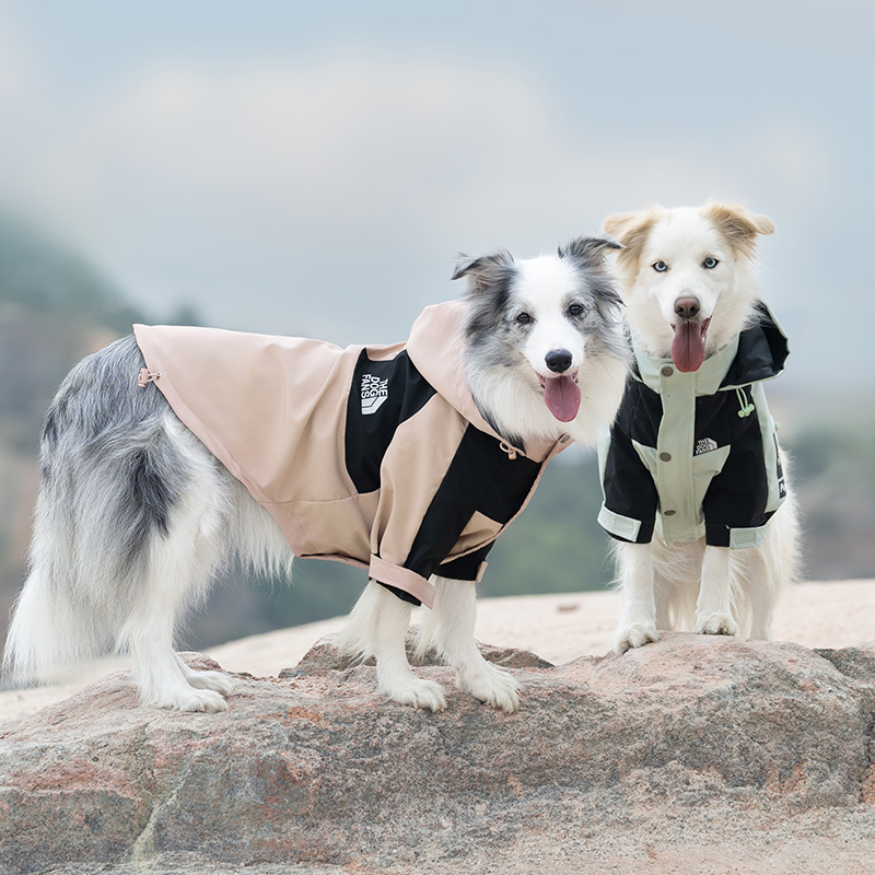 大型犬冲锋衣莫兰蒂配色防水透气