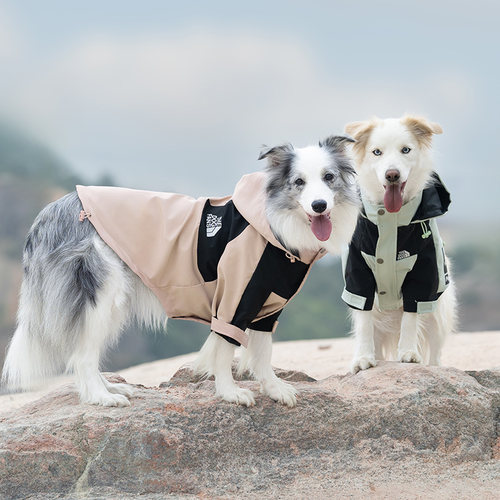 大型犬冲锋衣莫兰蒂配色防水透气