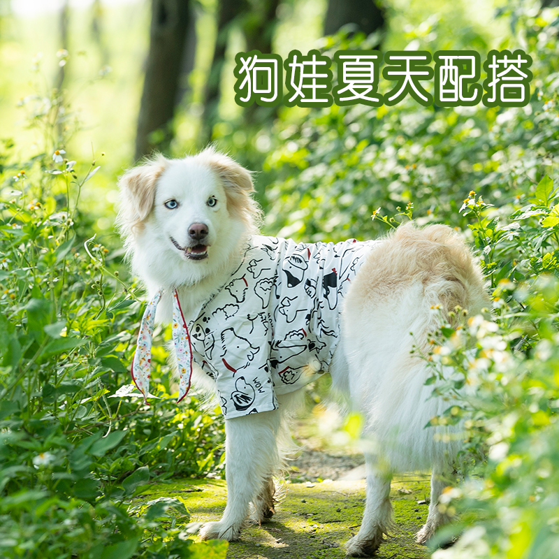 大狗边牧衬衫防脏防掉毛夏季薄款