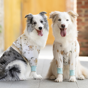 升级款大型犬夏季前腿保护狗狗肘部护肘服关节破损边牧薄款透气
