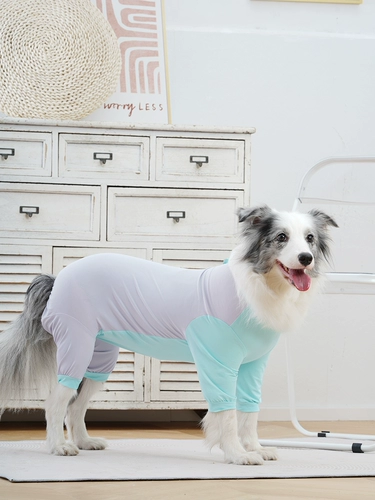 Его маленькая печь собачья ледяная шелк с четырьмя шесбками на открытом воздухе на открытом воздухе.