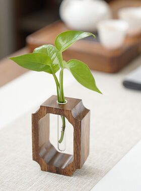 胡桃色木质水培 玻璃养殖器办公室摆件书桌桌面 简约高颜值迷你