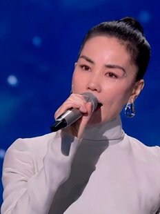 马年春晚王菲同款耳环耳饰耳钉气质女百搭高级个性透明大水滴