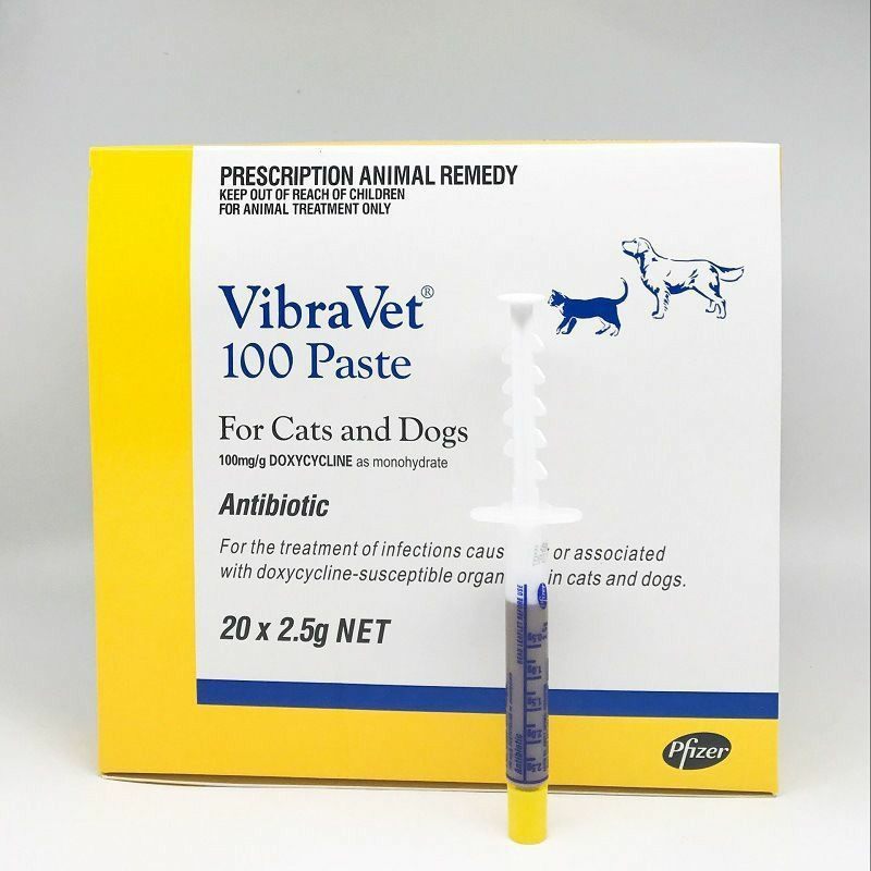 辉瑞巧克力膏泰版猫鼻支感冒单只整盒康恩尼猫咪的药,宠物/宠物食品及用品,猫呼吸道疾病药品,淘宝优惠券,粉丝福利购,淘宝优惠卷