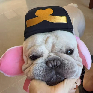 创意猪八戒耳朵造型宠物帽子狗狗卡通可爱显脸小头饰帽子