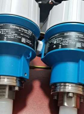 （议价)E+H压力变送器恩德斯豪斯压力变送器PMC51-70231