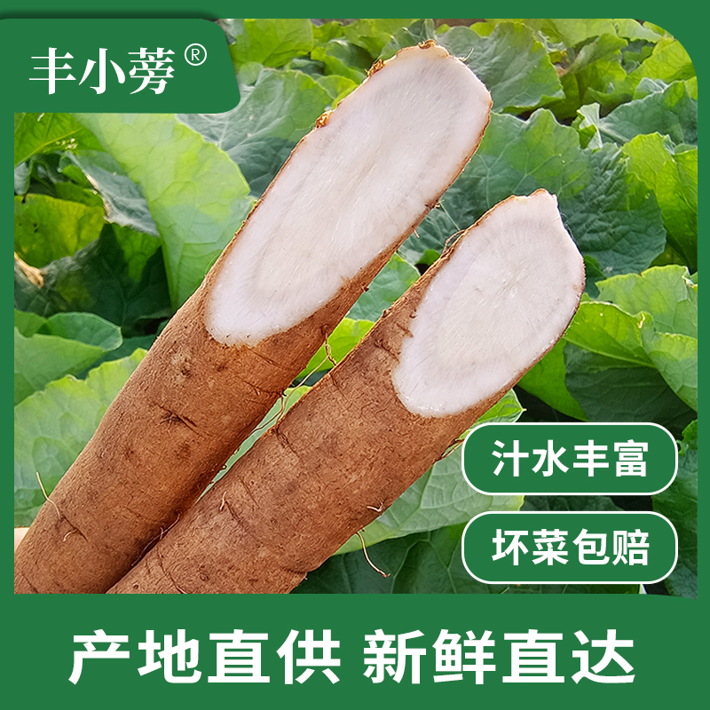 牛蒡根新鲜5斤兰陵现挖2024苍山农产正品非野生黄金牛榜旁膀茶片