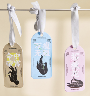 HeHeStore招桃花 万瘦无疆 命中带富 车载扩香片衣柜香包无火香