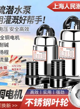 上海人民12V24V48V60V72V直流潜水泵电动车抽水泵电瓶车电车电瓶