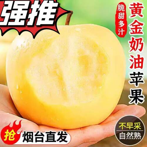正宗烟台黄金奶油富士苹果新鲜水果应季冰糖心脆甜多汁整箱