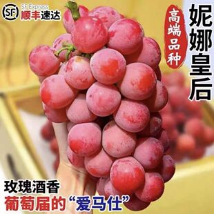 顺丰包邮现摘妮娜皇后葡萄红宝石提子无籽红提红酒香新鲜水果2斤