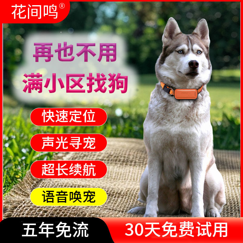 花间鸣宠物定位器狗狗实时gps定位项圈响铃寻宠猫毛孩追踪防走失